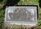 White Twins